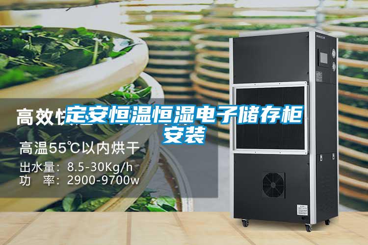 欧美黄色电影在线播放 定安恒温恒湿电子储存柜安装