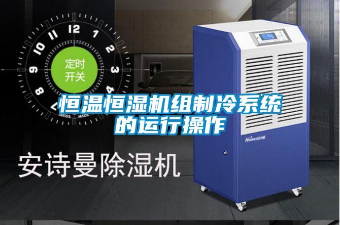 欧美黄色电影在线播放 恒温恒湿机组制冷系统的运行操作