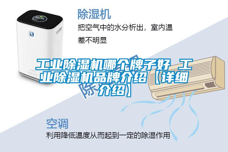 欧美黄色电影在线播放 工业除湿机哪个牌子好 工业除湿机品牌介绍【详细介绍】
