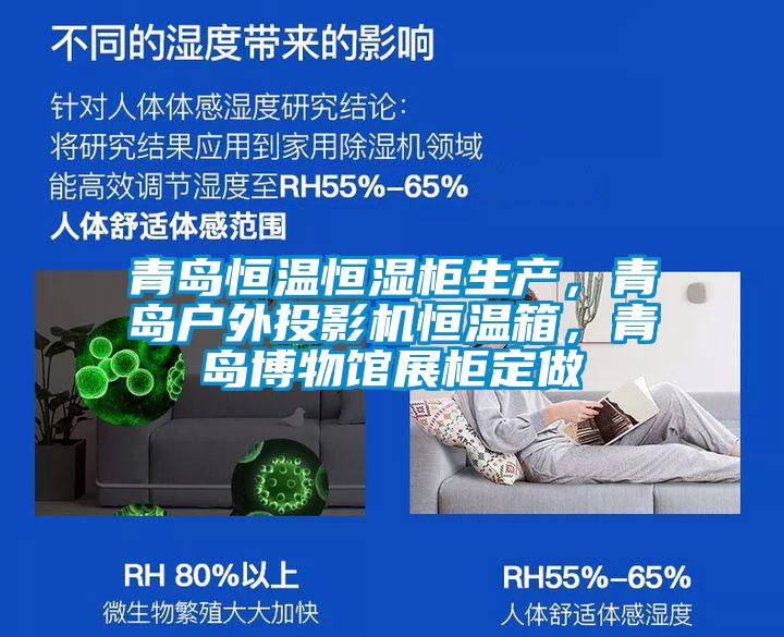 欧美黄色性爱视频网站 青岛恒温恒湿柜生产，青岛户外投影机恒温箱，青岛博物馆展柜定做