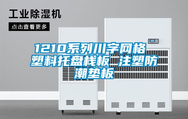 欧美黄色性爱视频网站 1210系列川字网格 塑料托盘栈板 注塑防潮垫板