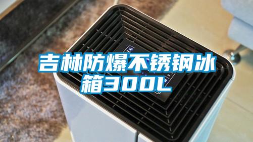 欧美成色手机在线观看 吉林防爆不锈钢冰箱300L