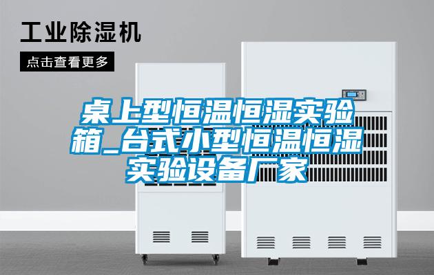 欧美黄色性爱视频网站 桌上型恒温恒湿实验箱_台式小型恒温恒湿实验设备厂家