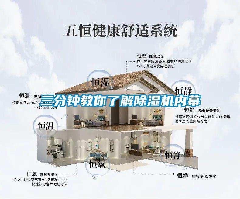 欧美成色手机在线观看 三分钟教你了解除湿机内幕
