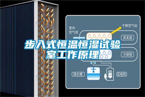 欧美黄色性爱视频网站 步入式恒温恒湿试验室工作原理