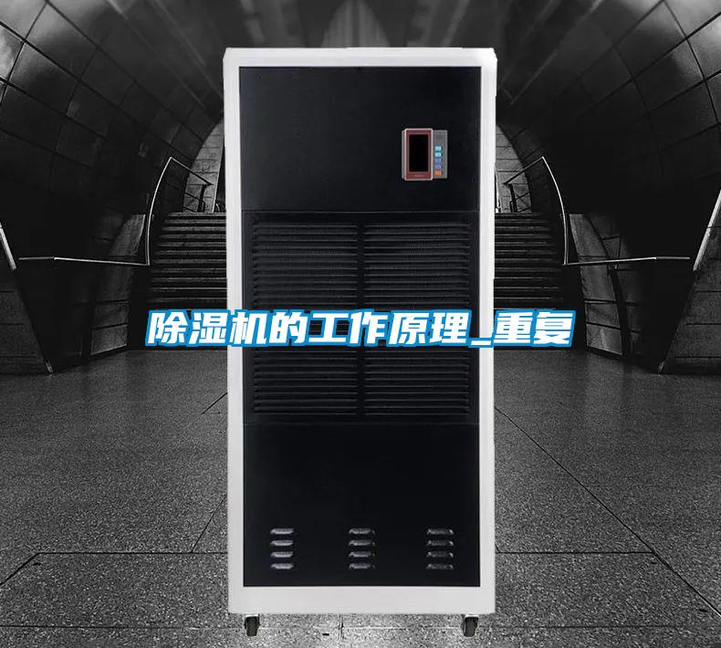 欧美黄色性爱视频网站 除湿机的工作原理_重复