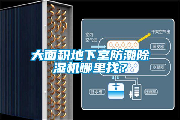 欧美黄色性爱视频网站 大面积地下室防潮除湿机哪里找？