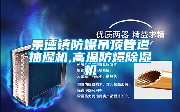 欧美黄色性爱视频网站 景德镇防爆吊顶管道抽湿机,高温防爆除湿机