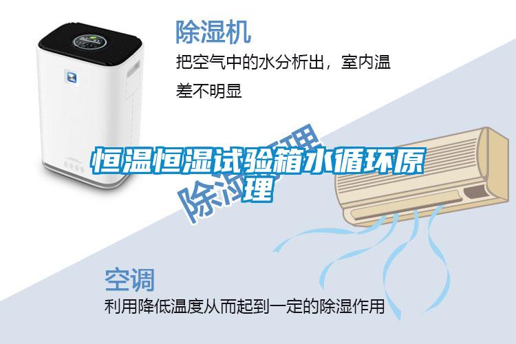 欧美黄色电影在线播放 恒温恒湿试验箱水循环原理