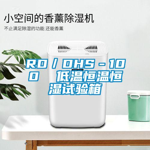 欧美黄色电影在线播放 RD／DHS－100  低温恒温恒湿试验箱