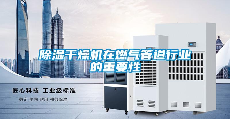 欧美黄色性爱视频网站 除湿干燥机在燃气管道行业的重要性