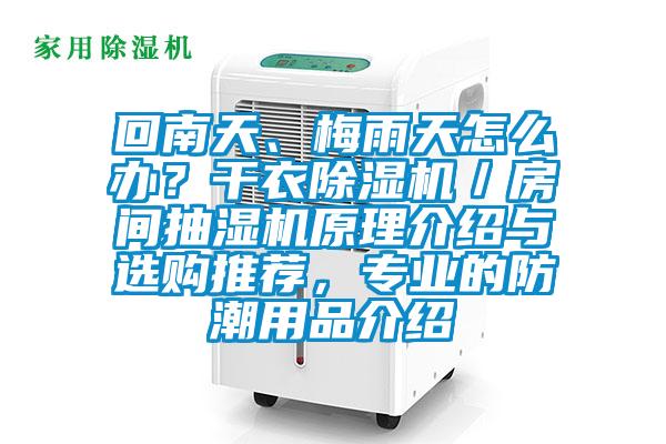 回南天、梅雨天怎么办？干衣除湿机／房间抽湿机原理介绍与选购推荐，专业的防潮用品介绍