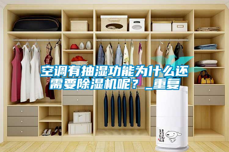 欧美成色手机在线观看 空调有抽湿功能为什么还需要除湿机呢？_重复
