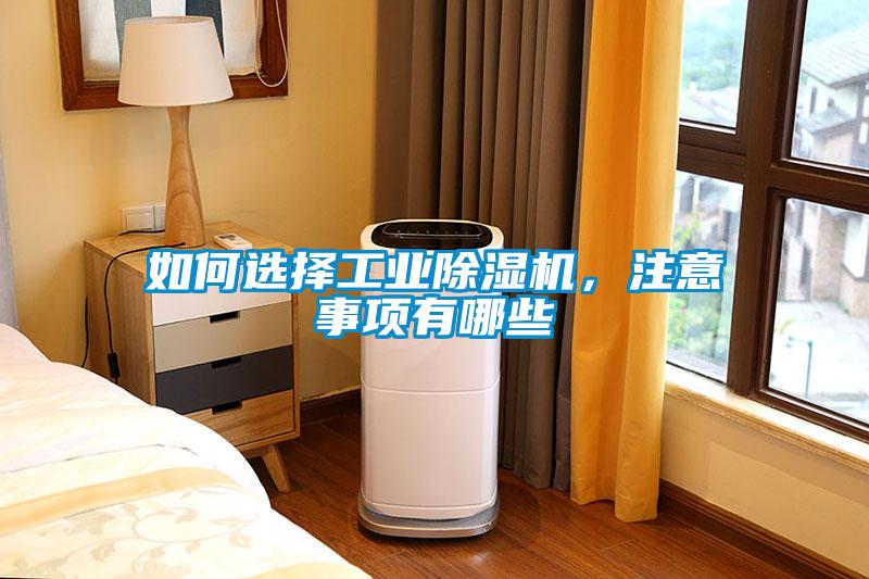欧美黄色电影在线播放 如何选择工业除湿机，注意事项有哪些