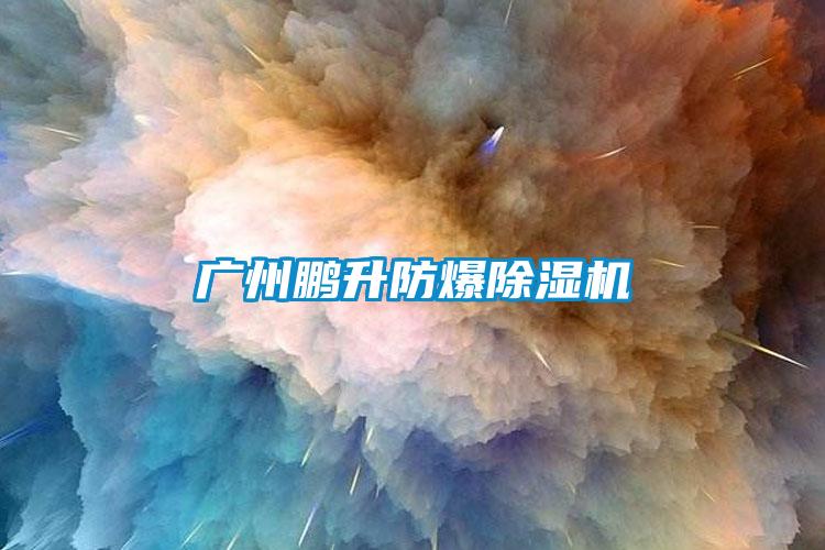欧美黄色电影在线播放 广州鹏升防爆除湿机