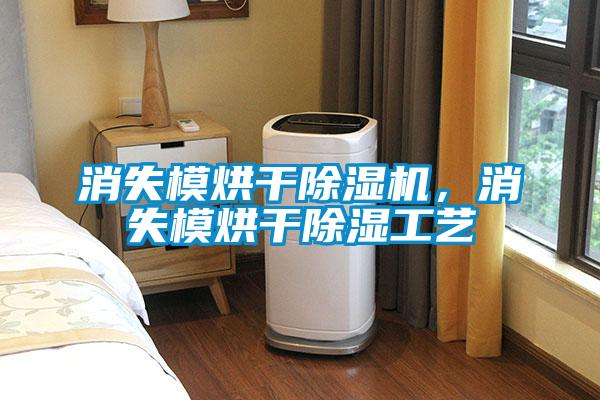 欧美黄色电影在线播放 消失模烘干除湿机，消失模烘干除湿工艺