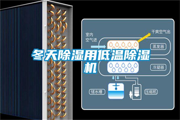 欧美黄色性爱视频网站 冬天除湿用低温除湿机