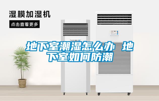 欧美黄色性爱视频网站 地下室潮湿怎么办 地下室如何防潮