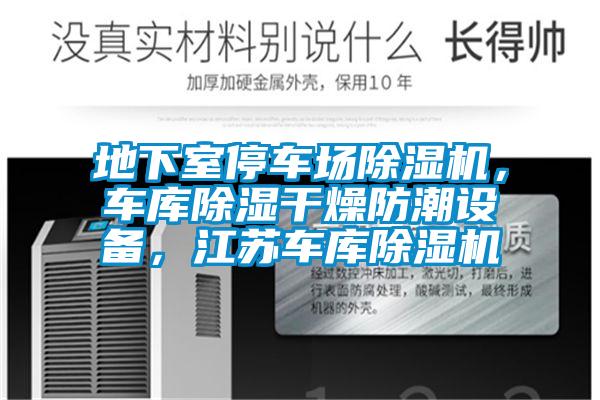 欧美黄色性爱视频网站 地下室停车场除湿机，车库除湿干燥防潮设备，江苏车库除湿机