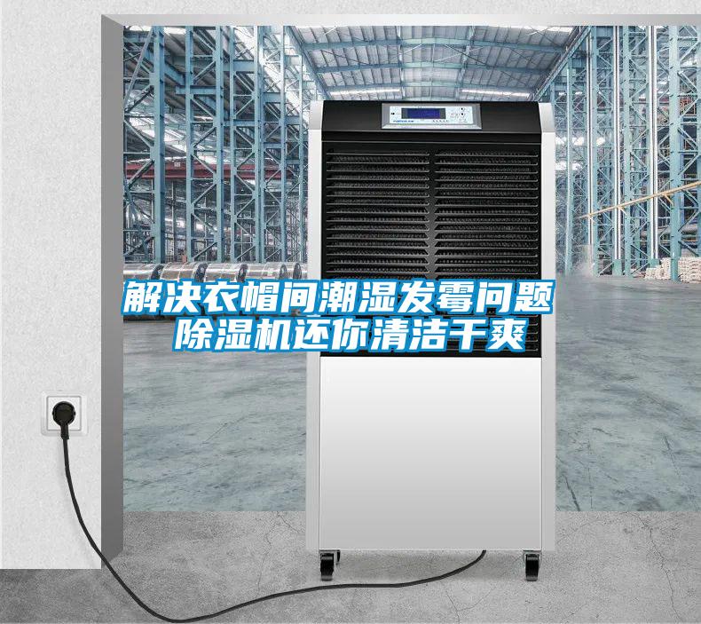 欧美成色手机在线观看 解决衣帽间潮湿发霉问题 除湿机还你清洁干爽