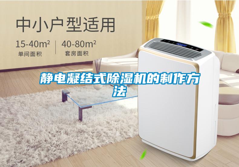欧美黄色性爱视频网站 静电凝结式除湿机的制作方法