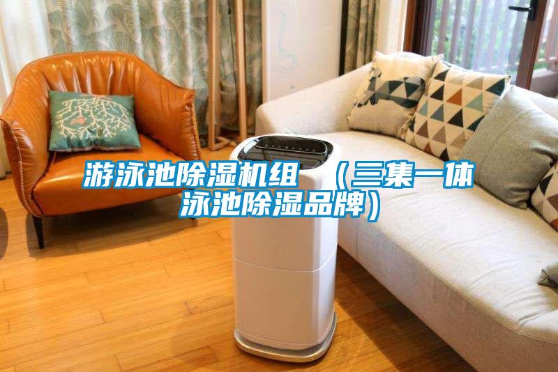 欧美黄色电影在线播放 游泳池除湿机组 （三集一体泳池除湿品牌）