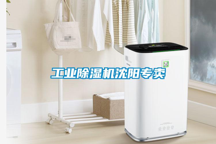 欧美成色手机在线观看 工业除湿机沈阳专卖