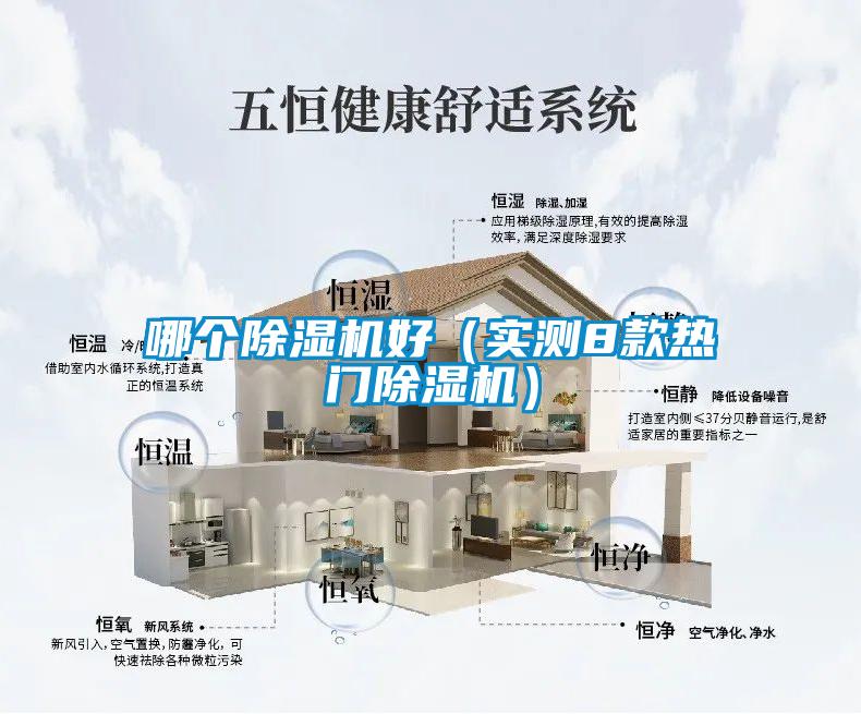 欧美黄色性爱视频网站 哪个除湿机好（实测8款热门除湿机）