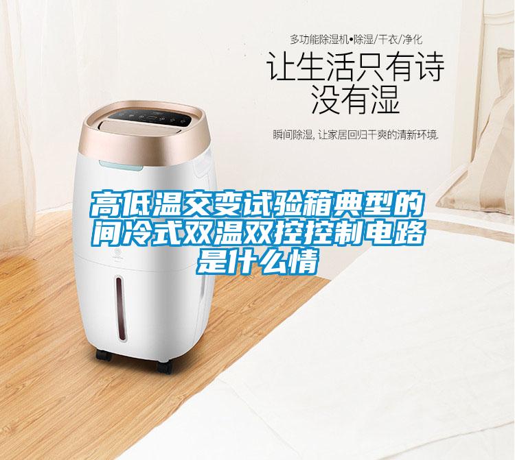 欧美黄色性爱视频网站 高低温交变试验箱典型的间冷式双温双控控制电路是什么情