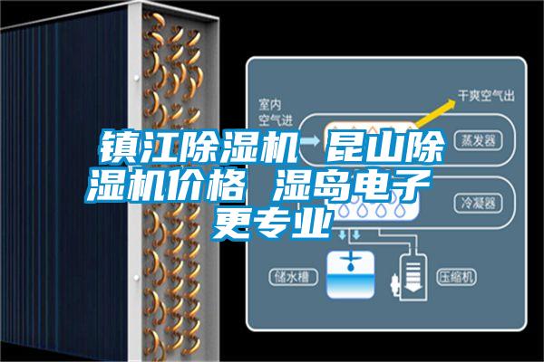 欧美黄色电影在线播放 镇江除湿机 昆山除湿机价格 湿岛电子 更专业
