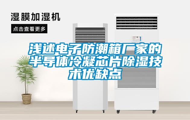 欧美黄色电影在线播放 浅述电子防潮箱厂家的半导体冷凝芯片除湿技术优缺点