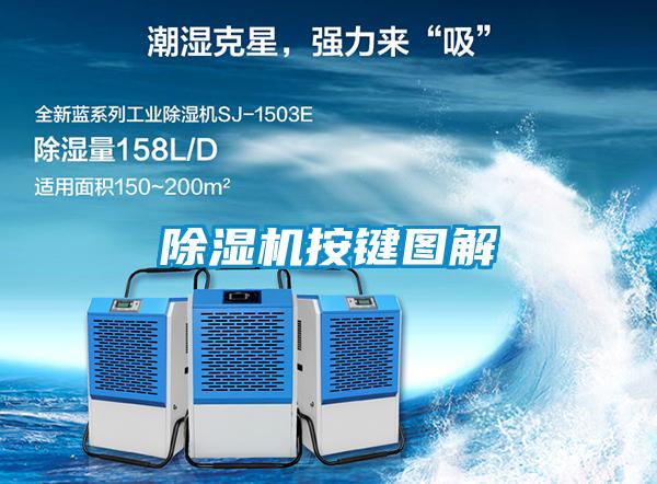 欧美黄色电影在线播放 除湿机按键图解