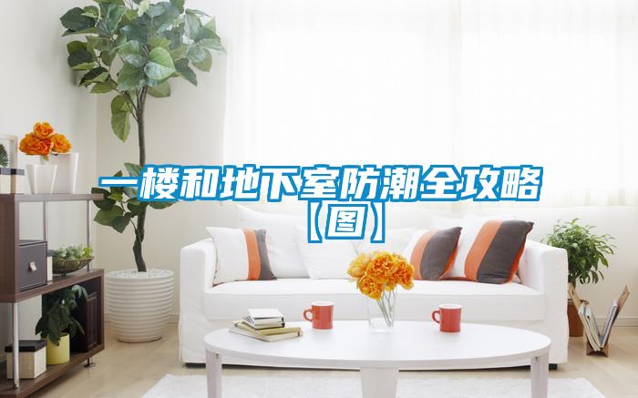 欧美黄色电影在线播放 一楼和地下室防潮全攻略【图】