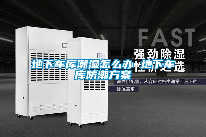 欧美黄色性爱视频网站 地下车库潮湿怎么办 地下车库防潮方案