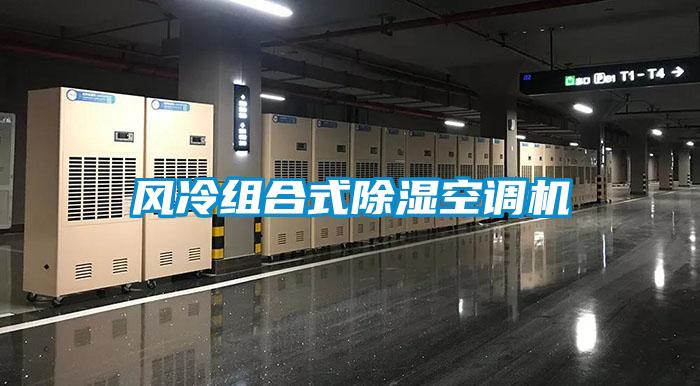 欧美成色手机在线观看 风冷组合式除湿空调机