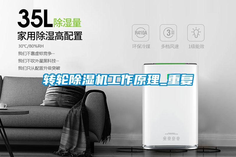欧美黄色电影在线播放 转轮除湿机工作原理_重复
