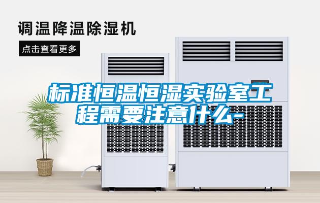 欧美成色手机在线观看 标准恒温恒湿实验室工程需要注意什么-