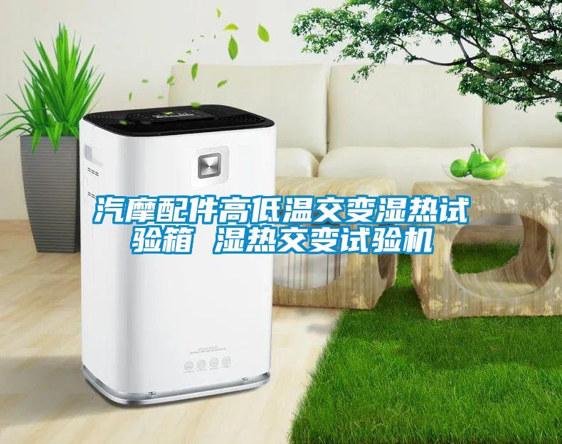 欧美黄色电影在线播放 汽摩配件高低温交变湿热试验箱 湿热交变试验机