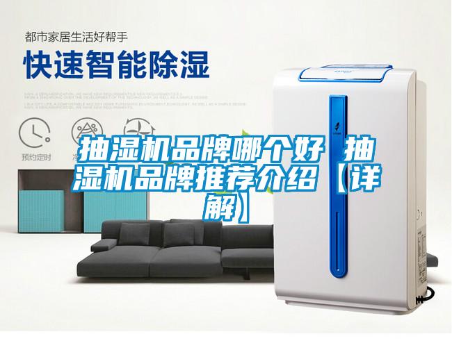 欧美黄色性爱视频网站 抽湿机品牌哪个好 抽湿机品牌推荐介绍【详解】