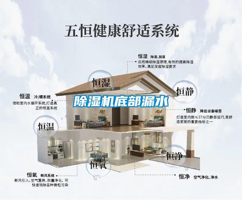 欧美黄色电影在线播放 除湿机底部漏水