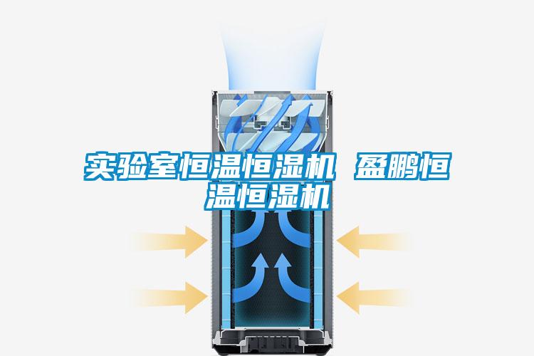 欧美黄色电影在线播放 实验室恒温恒湿机 盈鹏恒温恒湿机