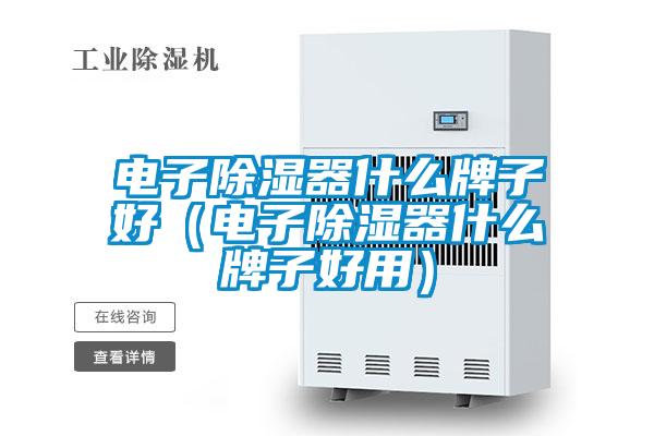 欧美黄色电影在线播放 电子除湿器什么牌子好（电子除湿器什么牌子好用）