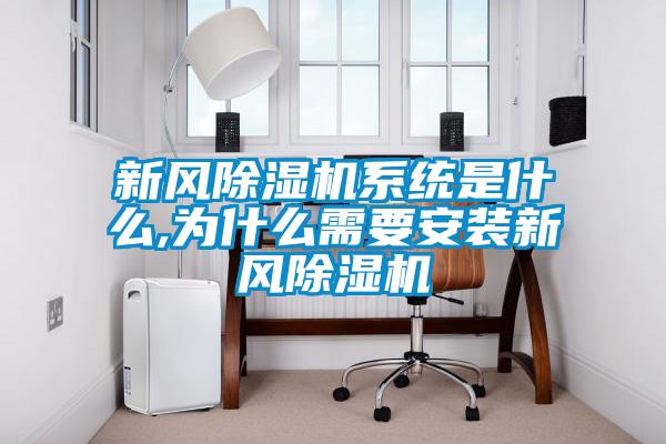 欧美成色手机在线观看 新风除湿机系统是什么,为什么需要安装新风除湿机