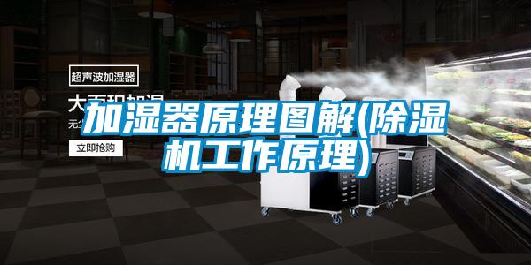 欧美成色手机在线观看 加湿器原理图解(除湿机工作原理)