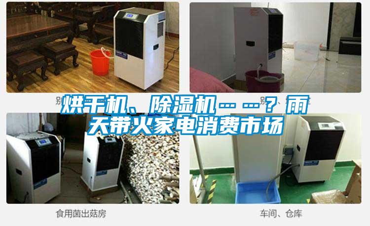 欧美黄色性爱视频网站 烘干机、除湿机……？雨天带火家电消费市场