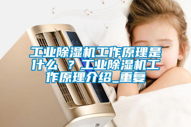 欧美黄色性爱视频网站 工业除湿机工作原理是什么 ？工业除湿机工作原理介绍_重复