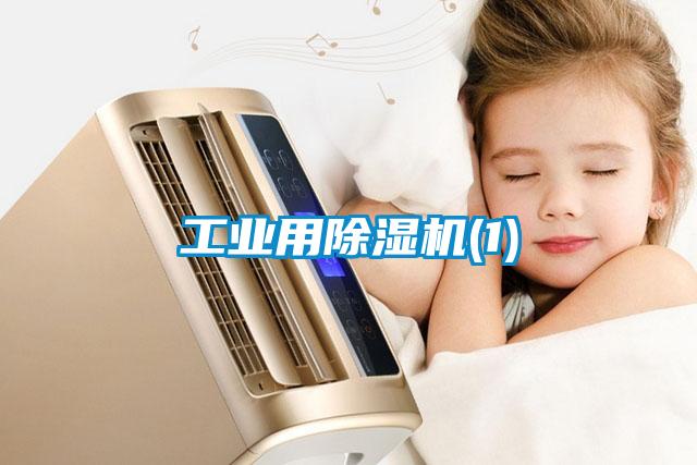 欧美黄色性爱视频网站 工业用除湿机(1)