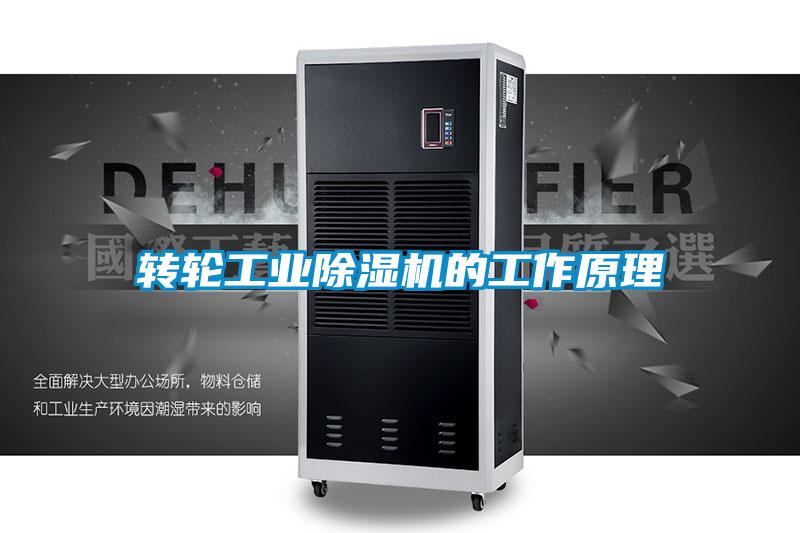 欧美成色手机在线观看 转轮工业除湿机的工作原理