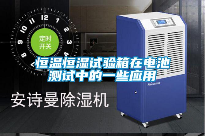 欧美黄色电影在线播放 恒温恒湿试验箱在电池测试中的一些应用