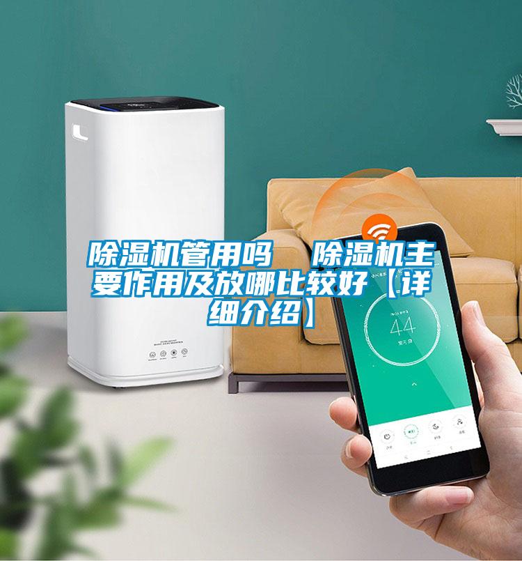欧美黄色性爱视频网站 除湿机管用吗  除湿机主要作用及放哪比较好【详细介绍】